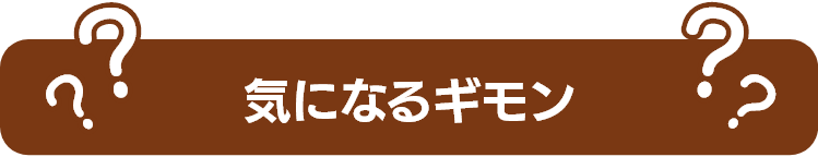 気になるギモン