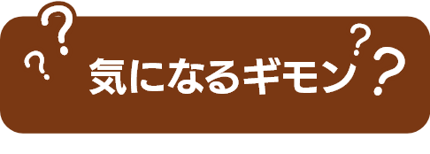 気になるギモン