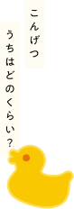 こんげつうちはどのくらい？